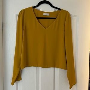 Babaton (Aritzia) Top Medium